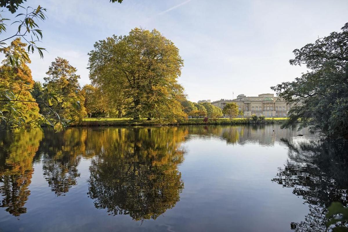 Jardín palacio de Buckingham