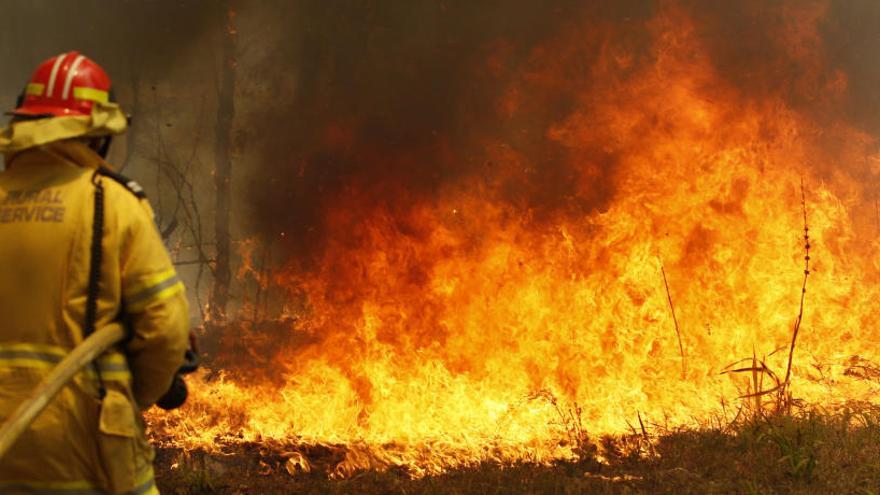 Los bomberos luchan contra las llamas.