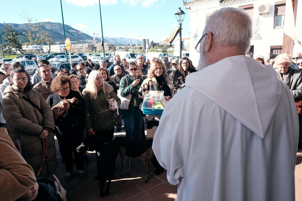 Churriana celebra la bendición de San Antón Churriana celebra la bendición de San Antón