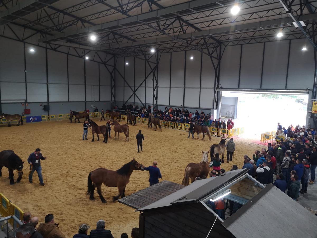 La feria Laviana Ecuestre, en una pasada edición.