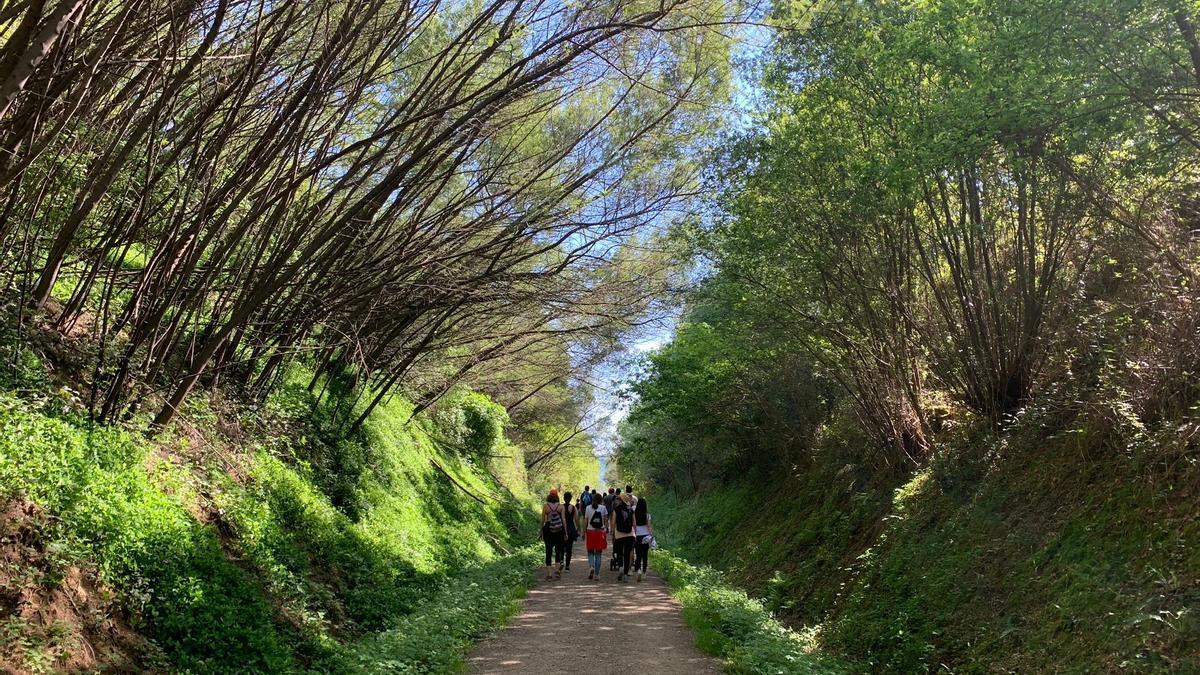 De caminata por la Vía Verde de O Salnés