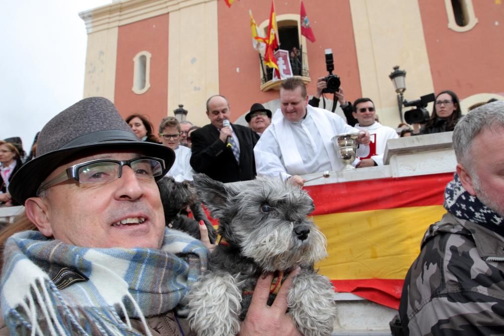 Bendición de los animales en Cartagena