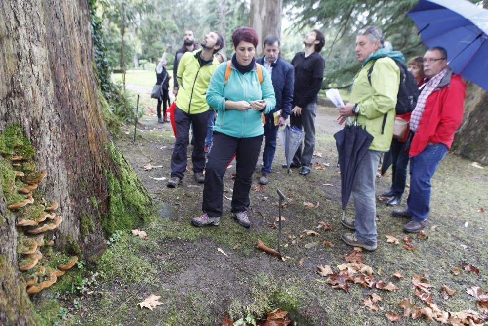 Recorrido micológico por el Jardín Botánico Atlántico