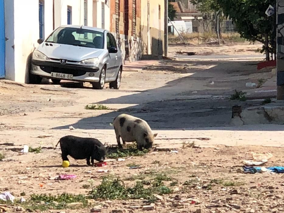 Basura en el entorno del Cementerio