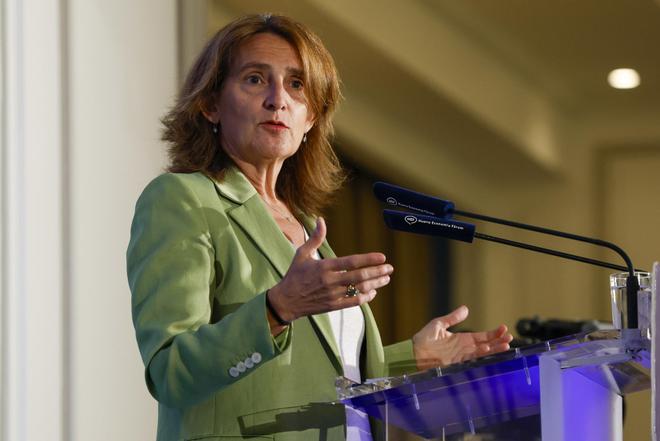 Ribera avala limitar el consumo eléctrico de los centros de datos para evitar grandes subidas del precio de la luz
