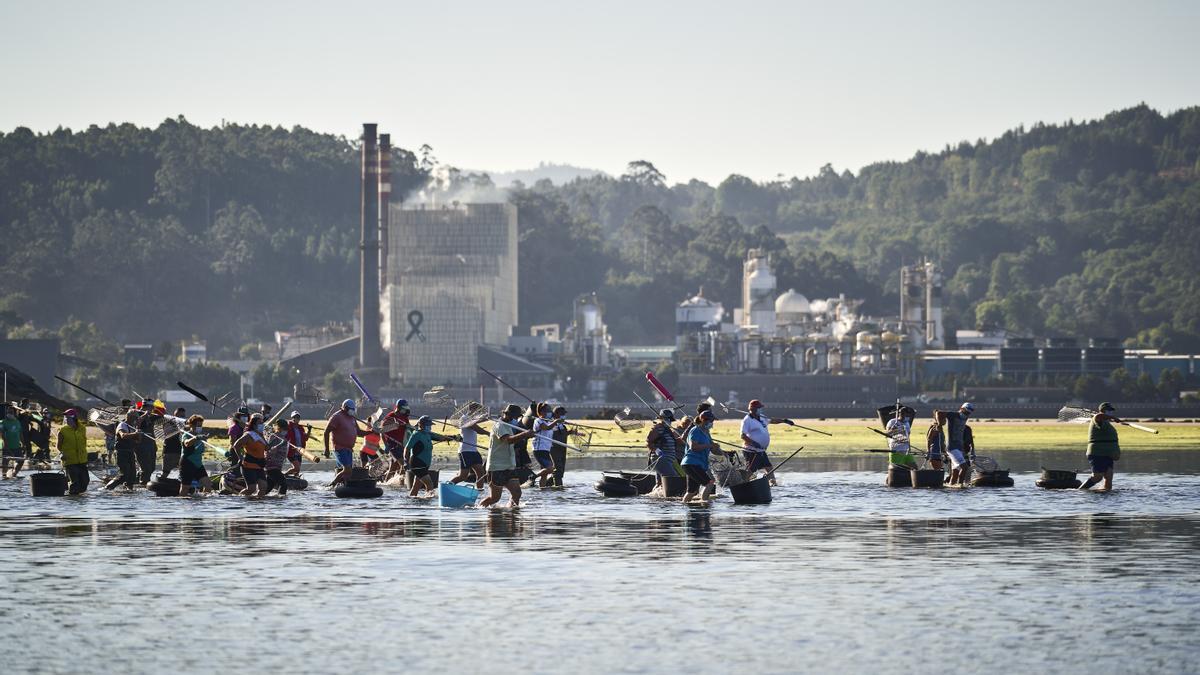 Mariqueo en la Ría de Pontevedra frente a la biofábrica de Ence.