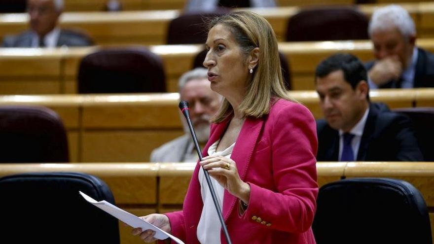 La ministra de Fomento, ayer en el Senado.