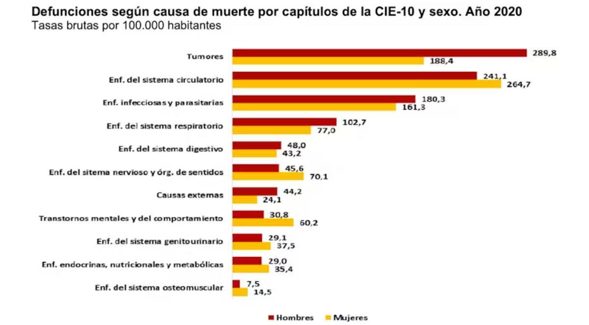 Causas de muerte en España según el Instituto Nacional de Estadística
