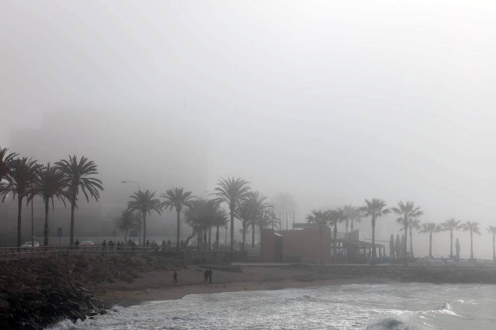 Palma im Nebel