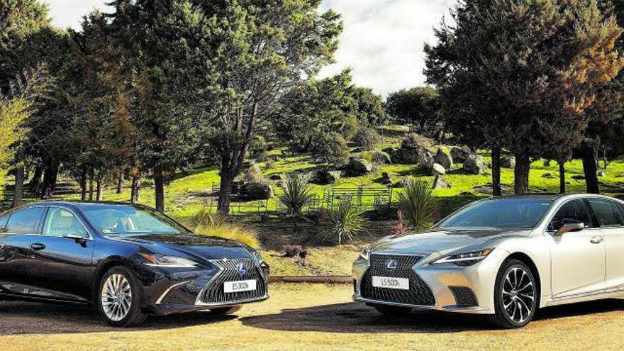 SEGMENTO ESENCIAL  Los nuevos Lexus ES 300h y LS 500h ofrecen nuevas mejoras en equipamientos, motores y tecnología aplicada a la seguridad y el confort. lexus