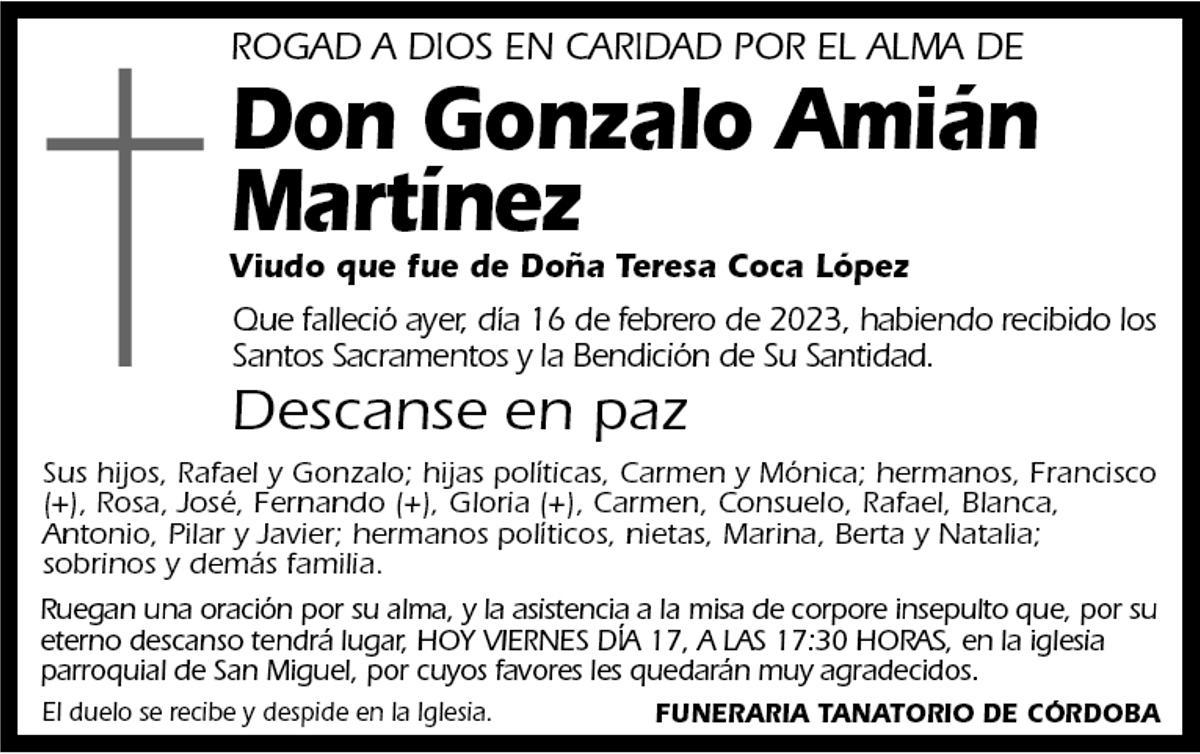 Gonzalo Amián Martínez