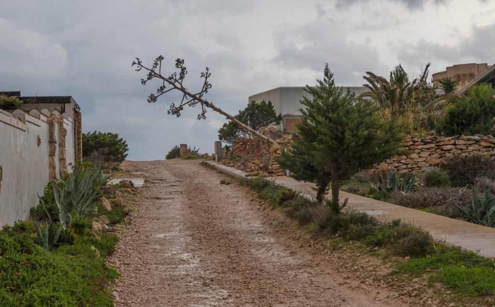 En Formenetra el viento, las olas y la lluvia han dibujado un paisaje muy especial