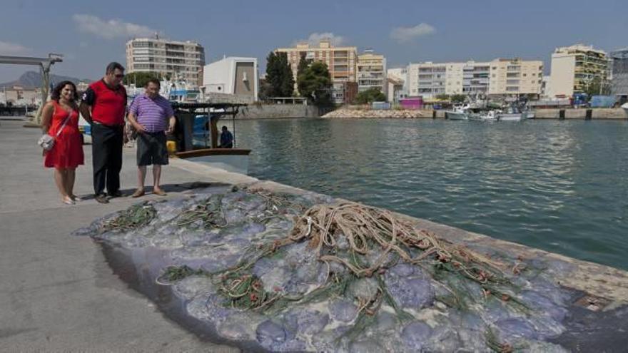 Los pescadores de Gandia entran en un plan de captura y aprovechamiento de basura marina