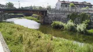 Una "selva" en las márgenes del río Güeña, en Cangas de Onís, alarma a los ribereños