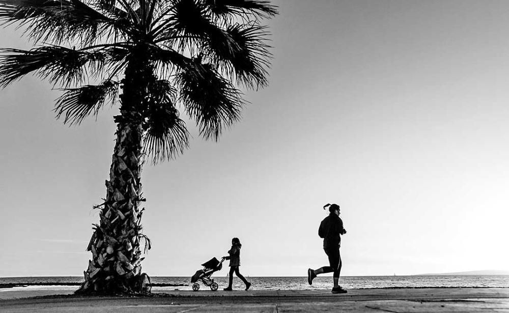 Palma Fotogràfica