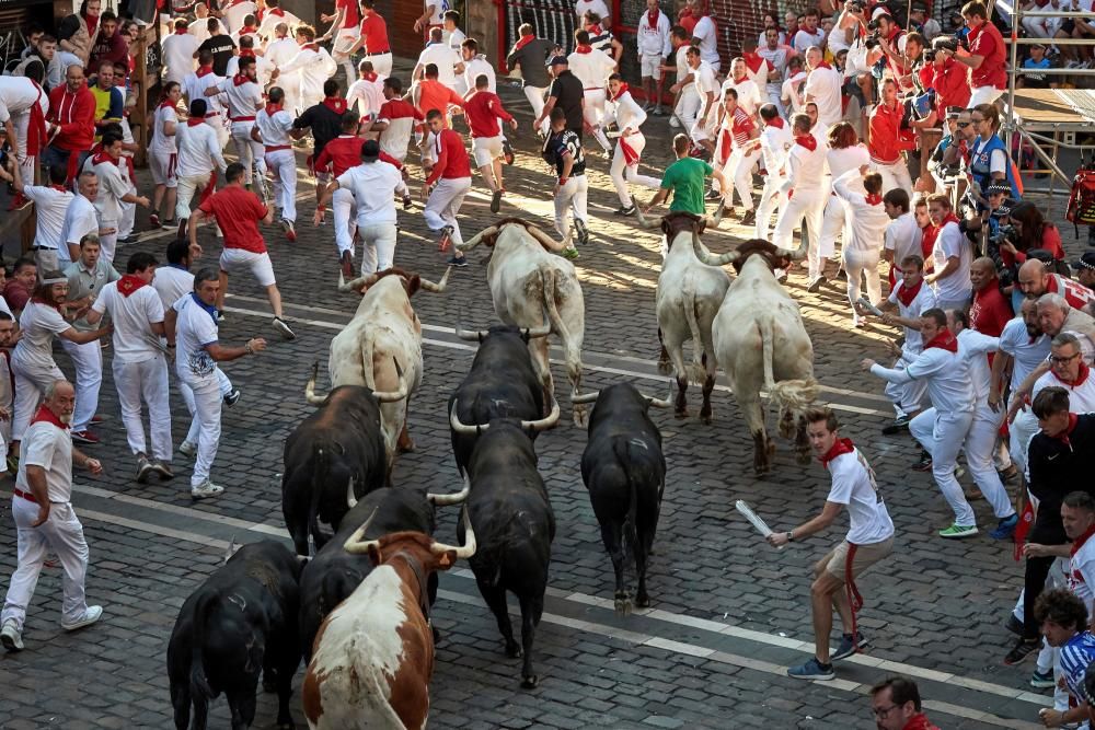 Los toros de Jandilla protagonizan el cuarto ...