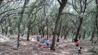 Más de 1.200 escolares descubren la Mallorca Natural en una campaña sobre clima y ecosistemas