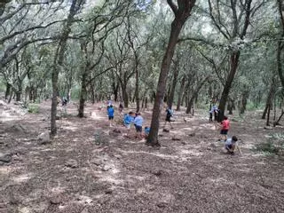 FOTOS | Los escolares se adentran en Ses Fonts Ufanes de la mano de Gadma y Cemex
