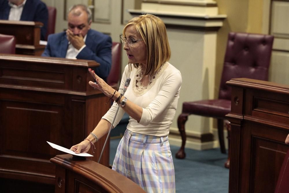 Pleno en el Parlamento de Canarias