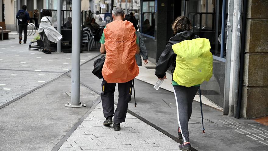 Cancelaciones en alojamientos por el temor a las chinches