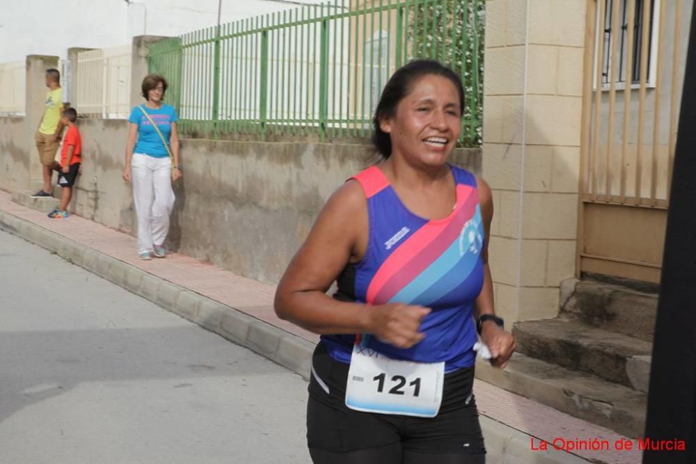 Carrera Virgen del Rosario de Barinas