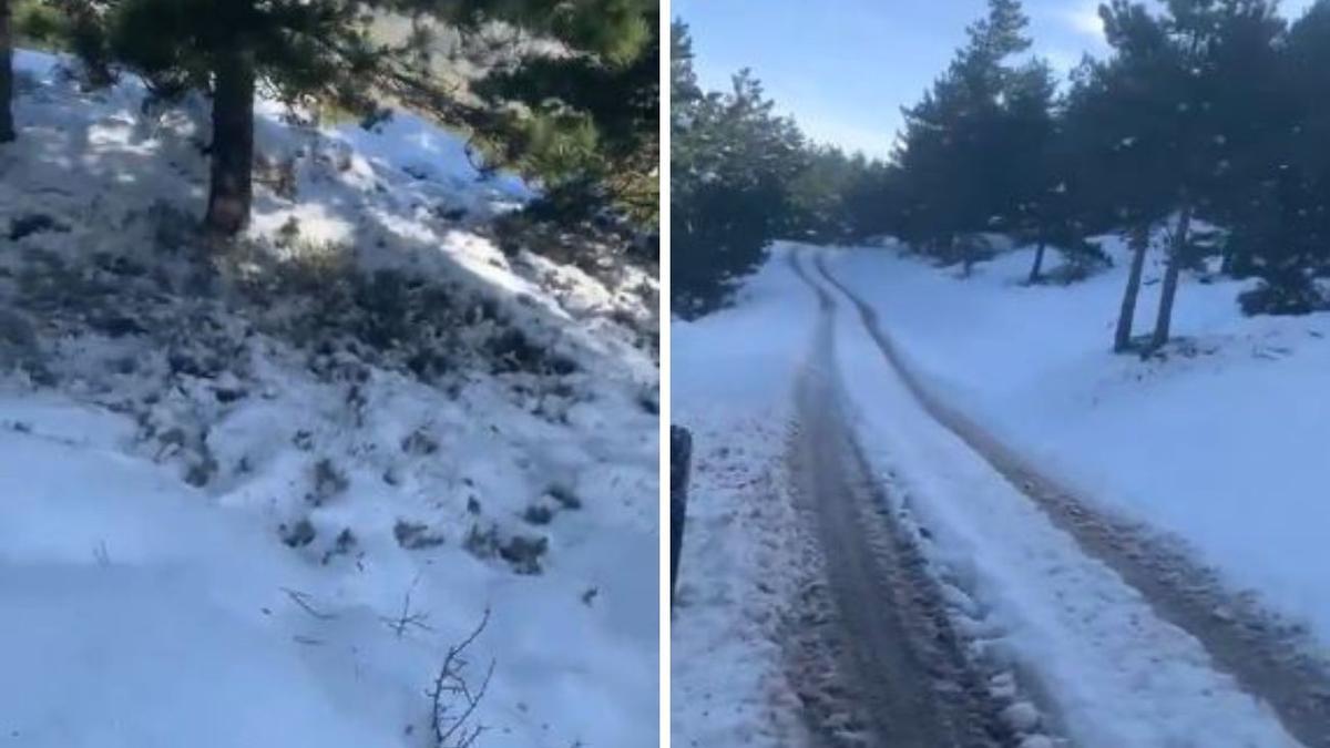 así ha cuajado en las cotas más altas así ha cuajado en las cotas más altas