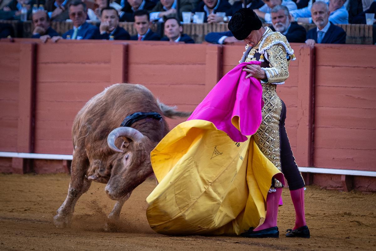 David Galván, a la verónica con ‘Malalengua’.