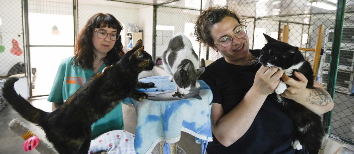 Dos voluntarias con gatos
acogidos en Prado.
// Pablo Hernández Gamarra
