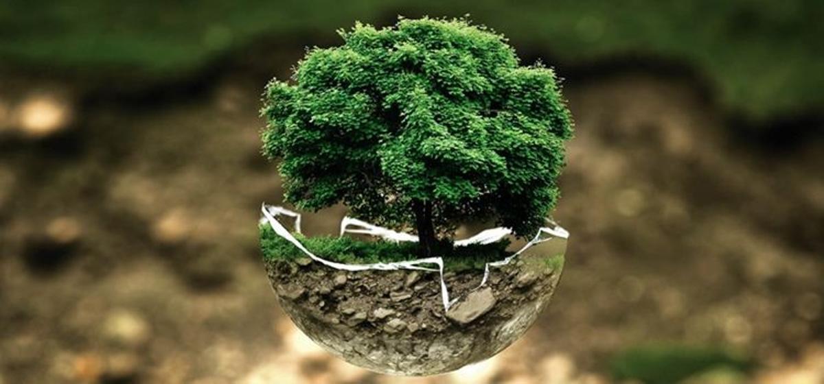 Imagen de archivo de Imedes.