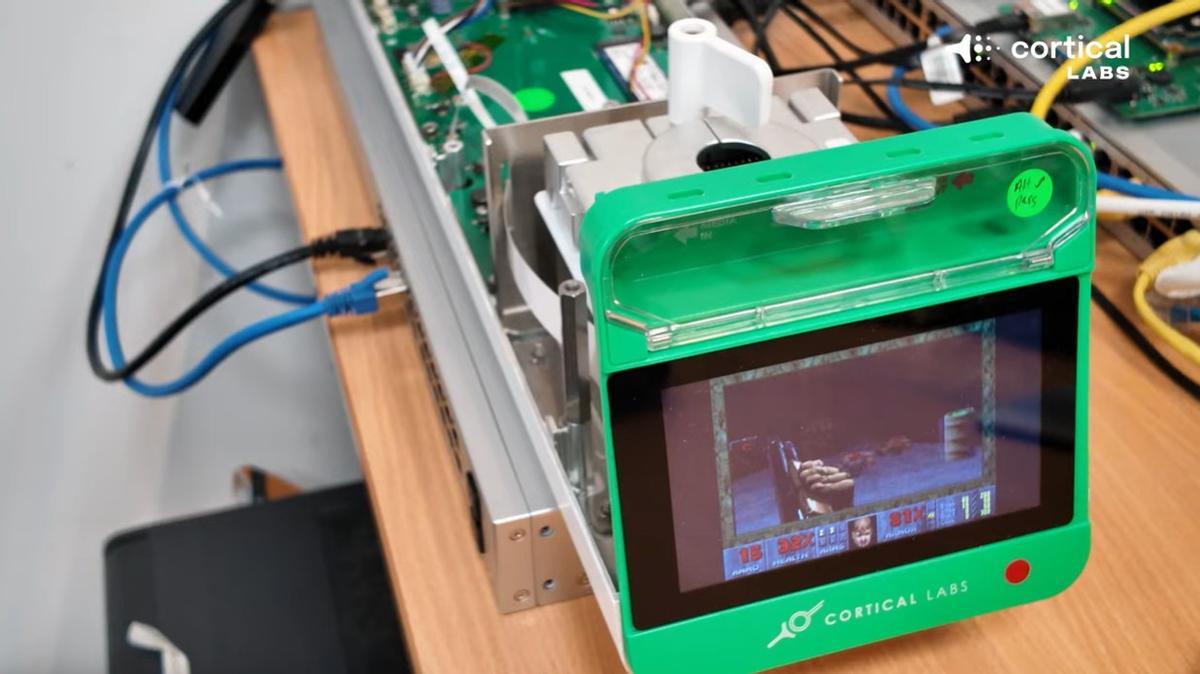 Neuronas humanas convertidas en 'gamers': el insólito experimento de unos científicos que parece ciencia ficción