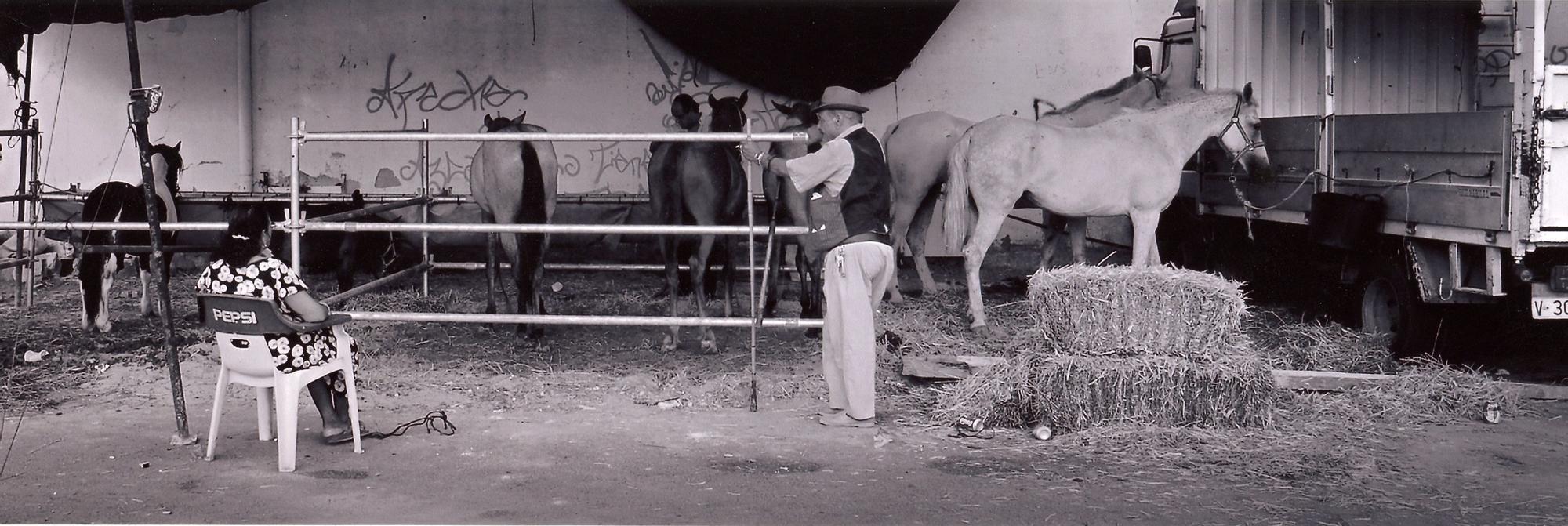 Las mejoras imágenes de la 66ª edición del salón fotográfico Ciutat de Xàtiva