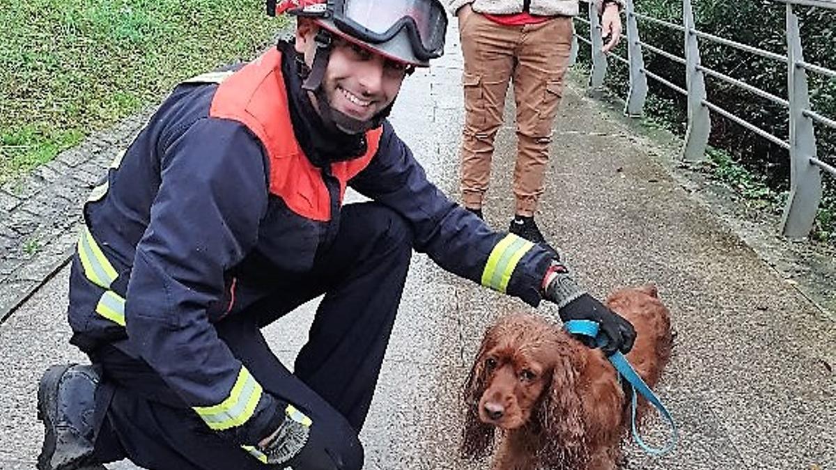 Efectivo de Emergencias de Cambre, con el perro rescatado.