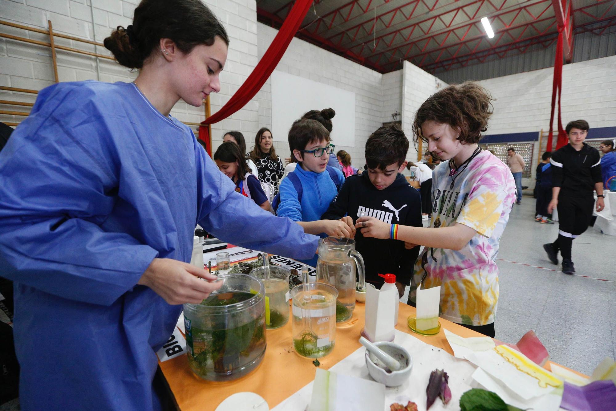 Expociencia en el IES Blas Inante