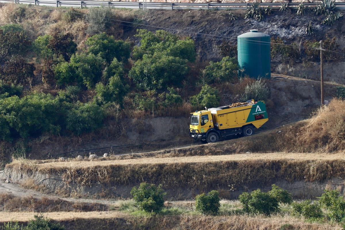 El Infoca lucha contra el incendio forestal declarado este viernes a mediodía en el término municipal de Árchez y que ha obligado a desalojar viviendas de diseminados de Árchez y Cómpeta. En este último municipio se ha instalado el puesto de mando para coordinar las labores de extinción, en la que participan una docena de medios aéreos y casi 150 bomberos forestales.