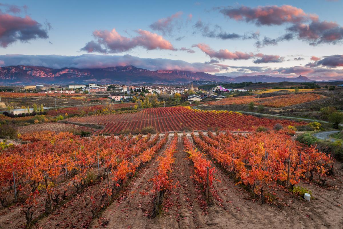 Vistas de la bodega Marqués de Riscal.