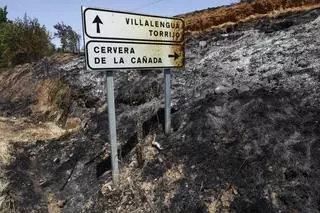Las ayudas por el incendio de Ateca llegarán este mes y de forma directa