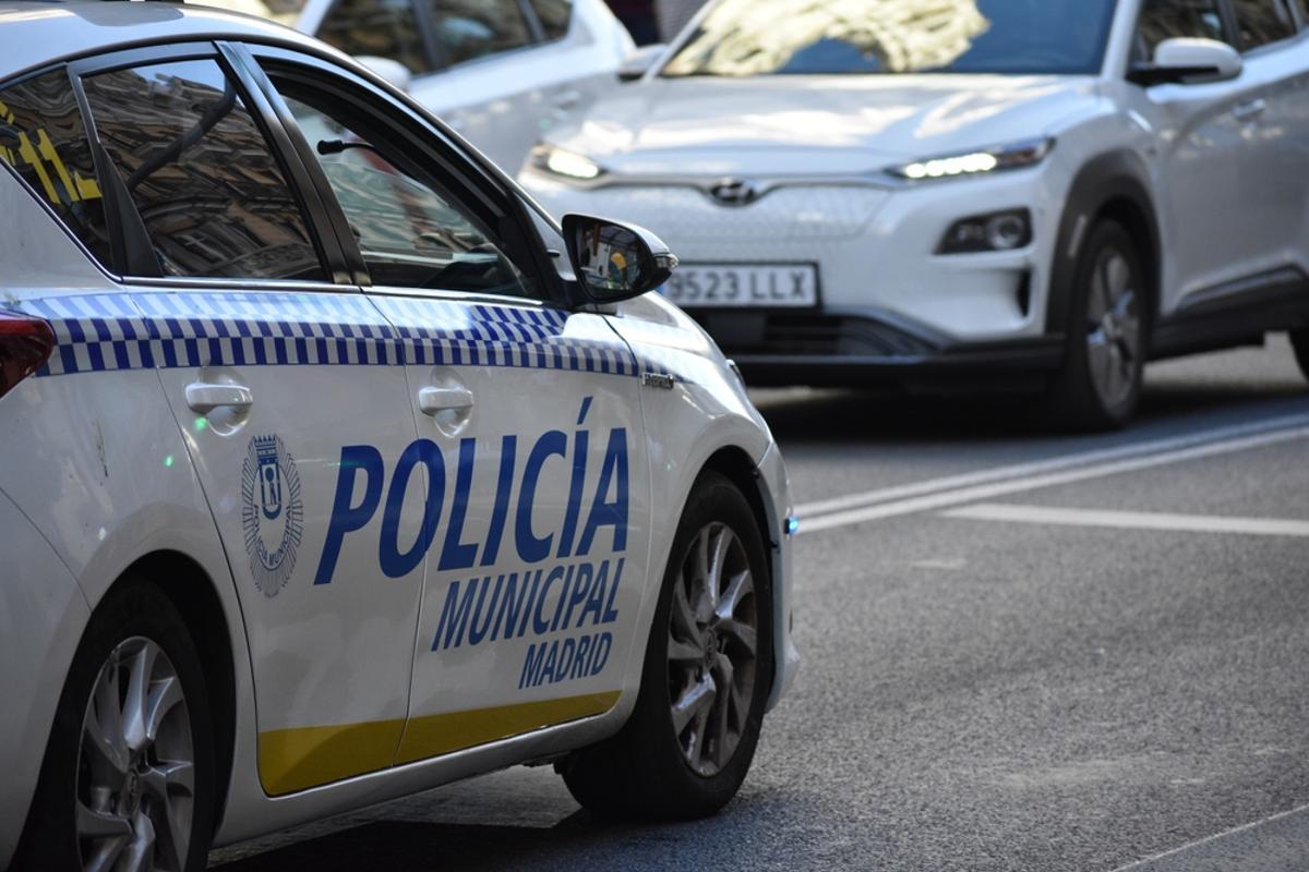 Todos los vehículos han pasado por un proceso para eliminar cualquier rastro de su anterior uso municipal