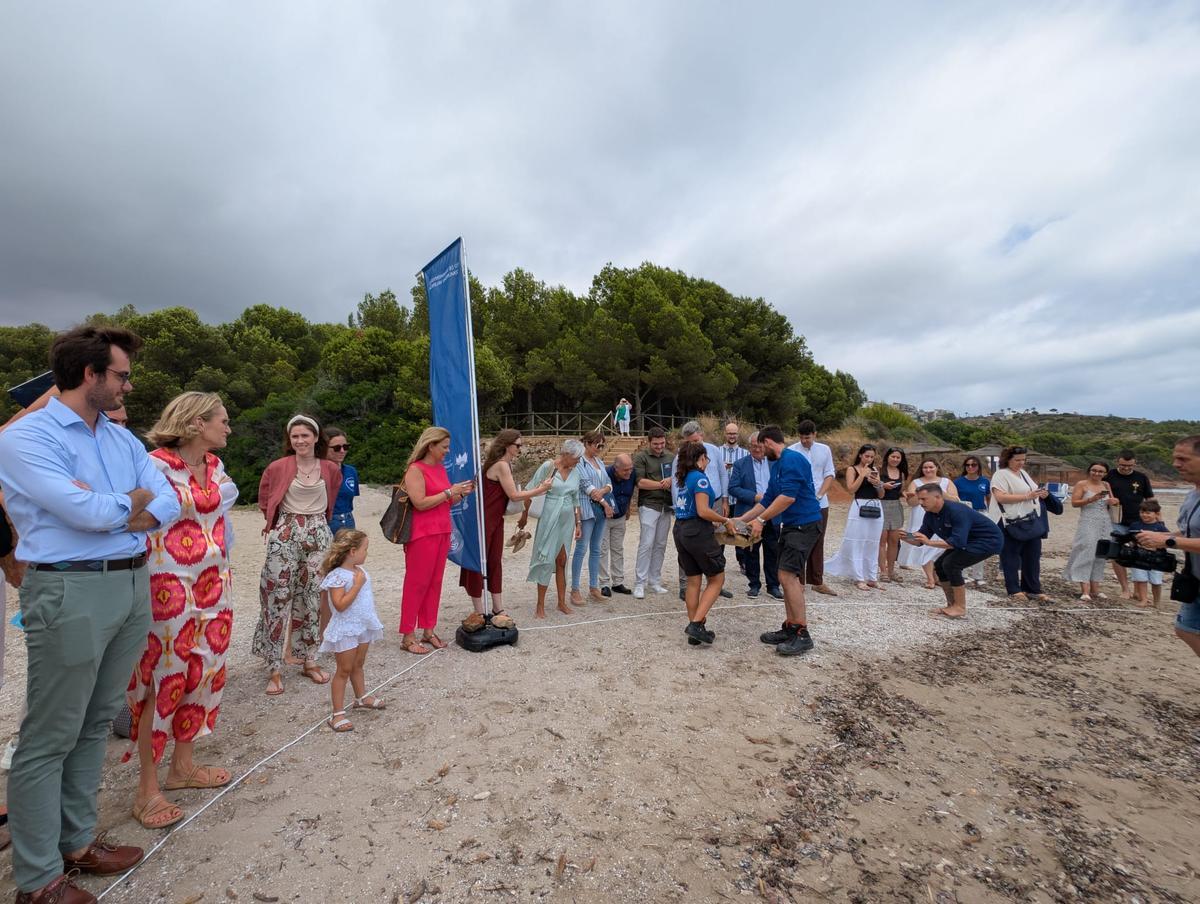 GALERÍA I La presentación de la nueva campaña para rescatar tortugas marinas, en imágenes