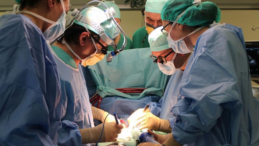 Un equipo quirúrgico, durante una operación, en el Hospital Universitario de A Coruña (Chuac). |   // LOC