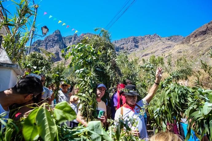 28.06.18. AGAETE.  BAJADA DE LA RAMA, EL VALLE ...