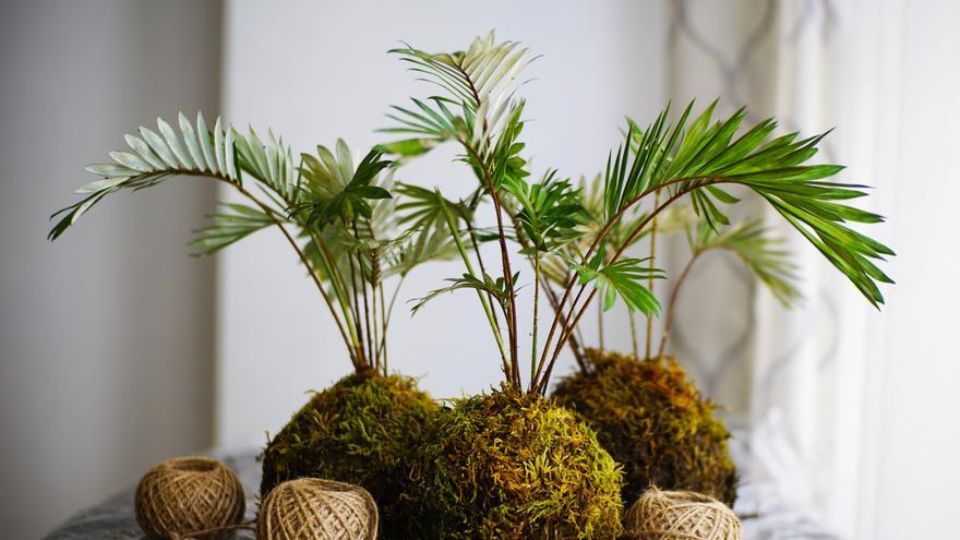 Kokedama, la jardinería japonesa que revoluciona la decoración de interiores