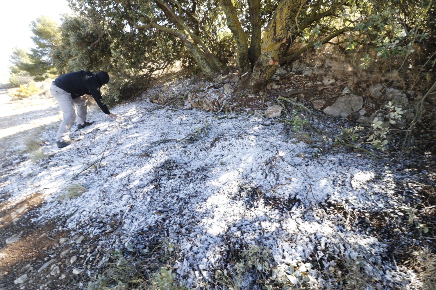 Alcoy amanece con una ligera capa de nieve en Aitana y la Font Roja