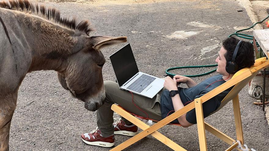 De Nueva Zelanda, Japón y EEUU a vivir rodeados de montañas en un paraíso del teletrabajo en Castellón: &quot;El contraste es brutal&quot;