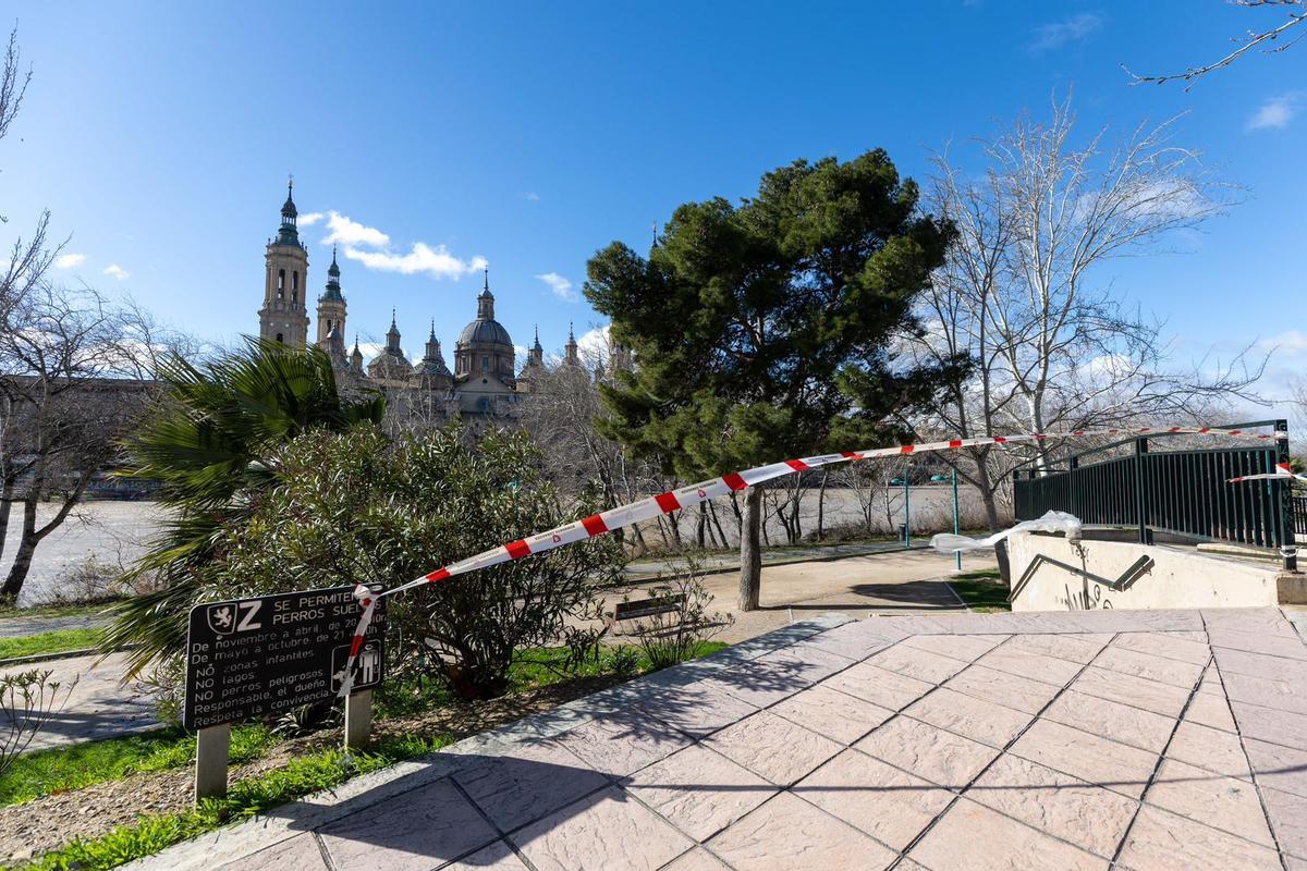 En imágenes I Árboles caídos en Zaragoza y parques cerrados por el viento