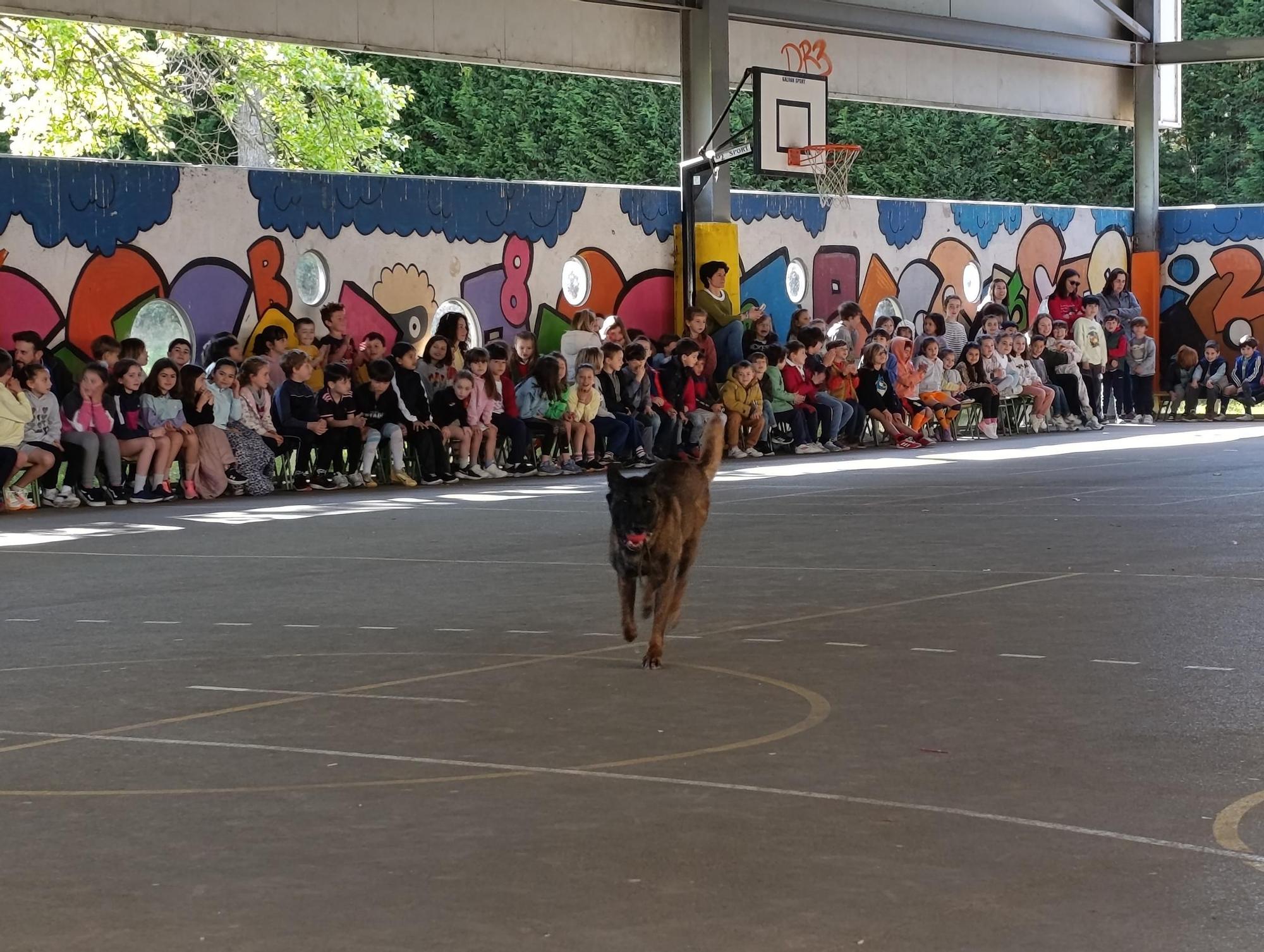 Así fue la exhibición de la Policía Nacional en el colegio La Fresneda, en Siero