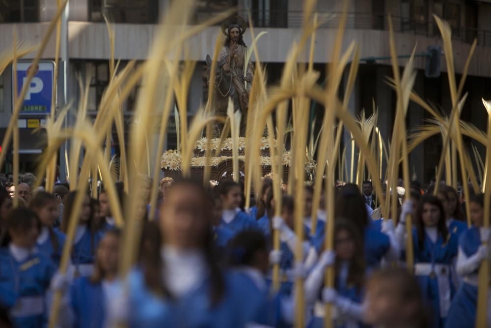 Domingo de Ramos en Elche