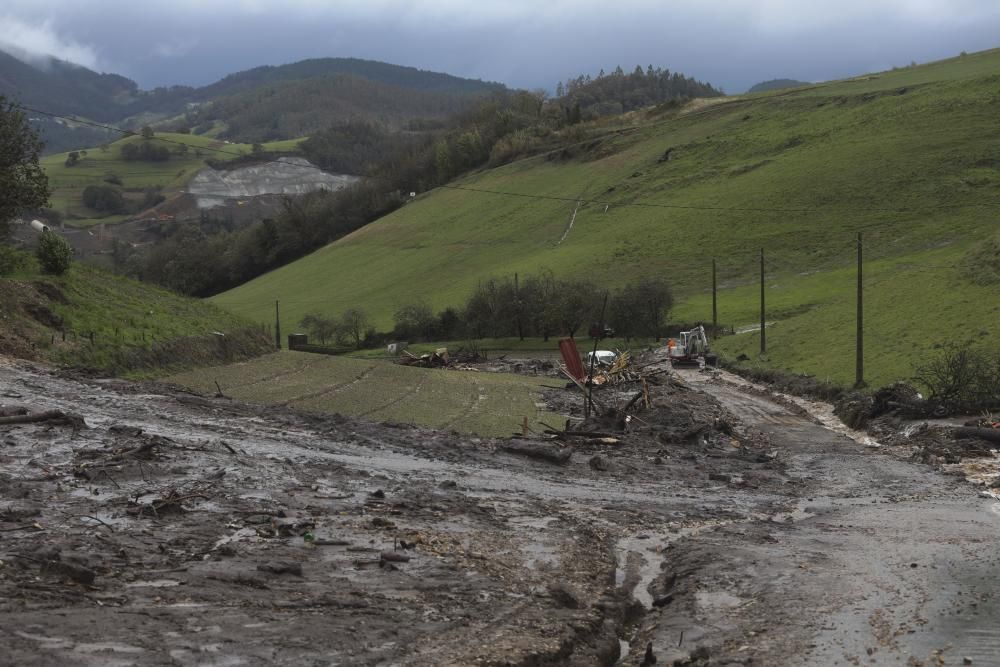 Temporal en Asturias: Un argayo sepulta una ganadería en Salas