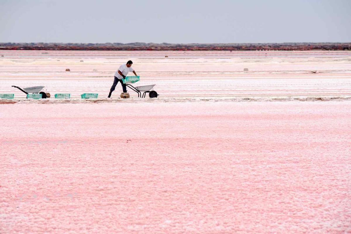 Salinas en la Costa francesa