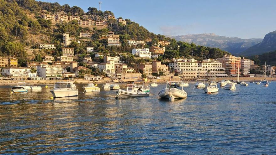 Los fondeos en la bahía de Sóller han dañado la posidonia oceánica.