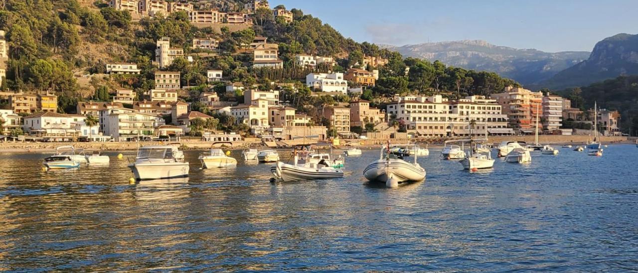 Los fondeos en la bahía de Sóller han dañado la posidonia oceánica.